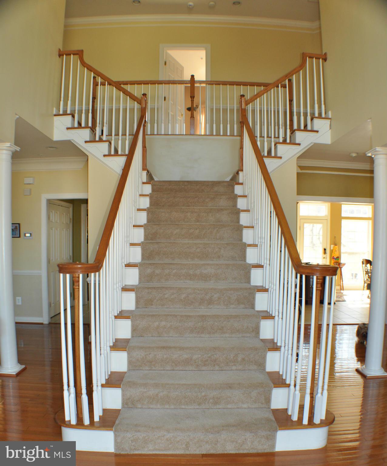 BRANCH HILL - Residential