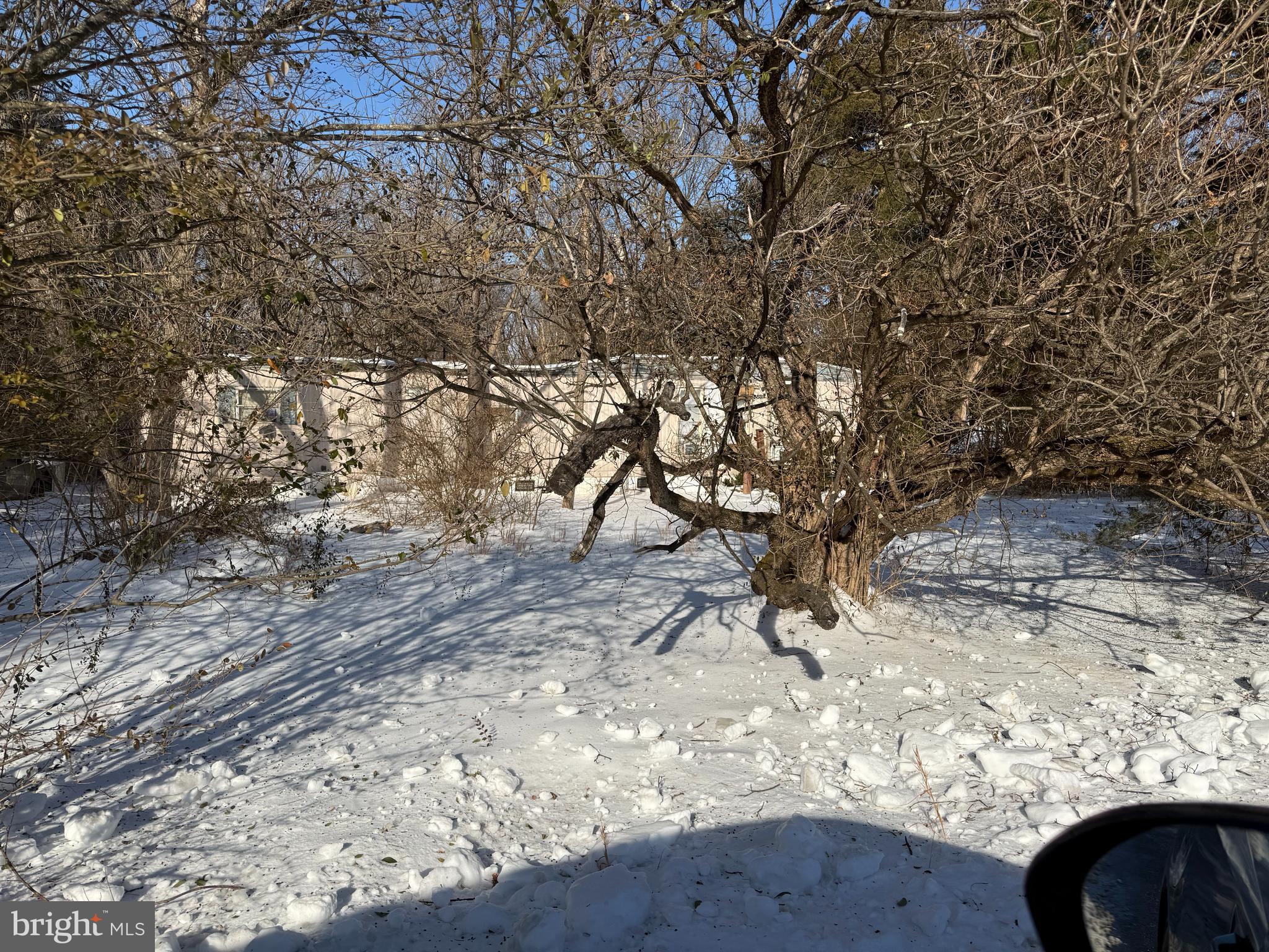 SHEN FARMS RIVERVIEW - Land