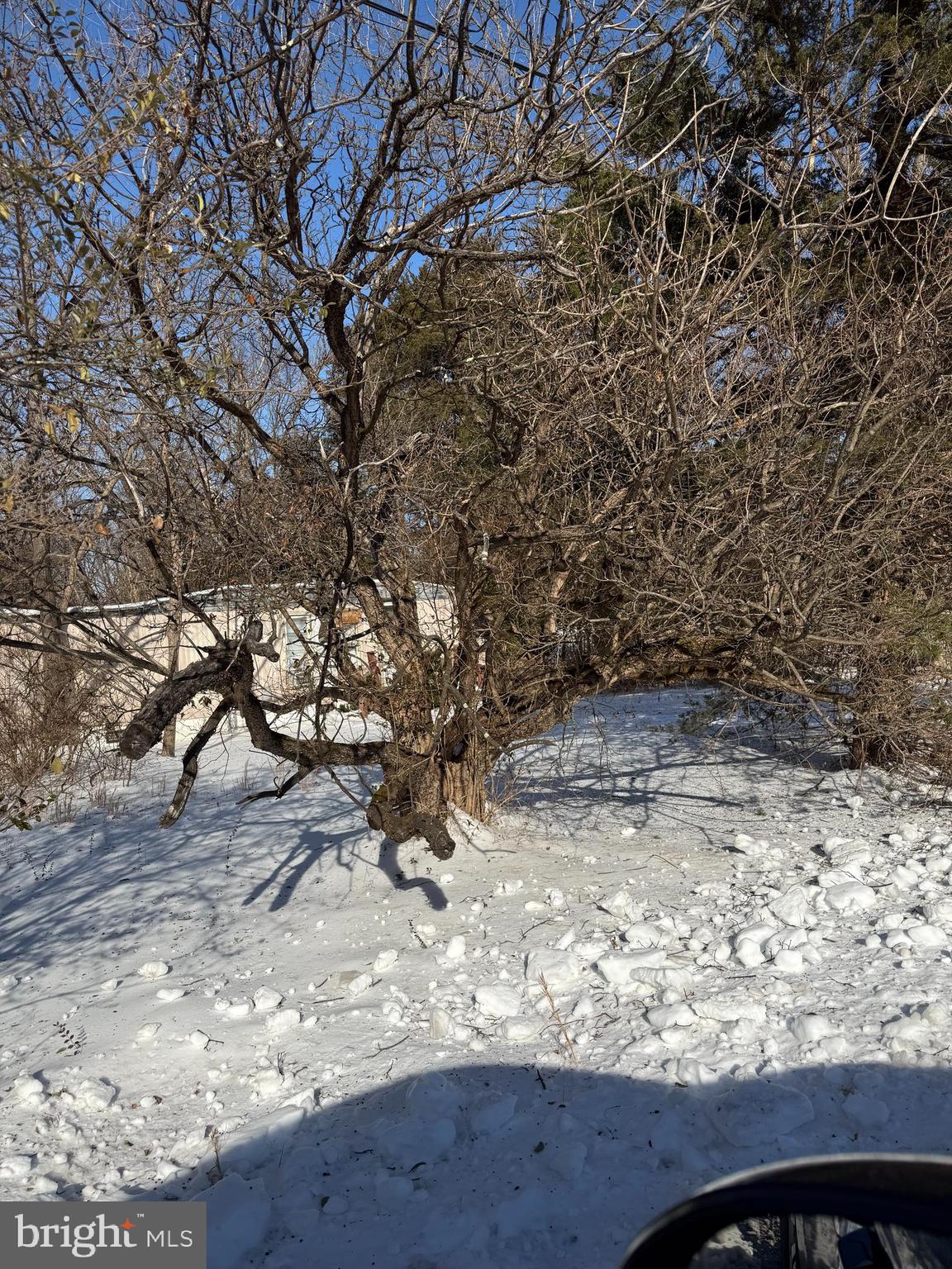 SHEN FARMS RIVERVIEW - Land
