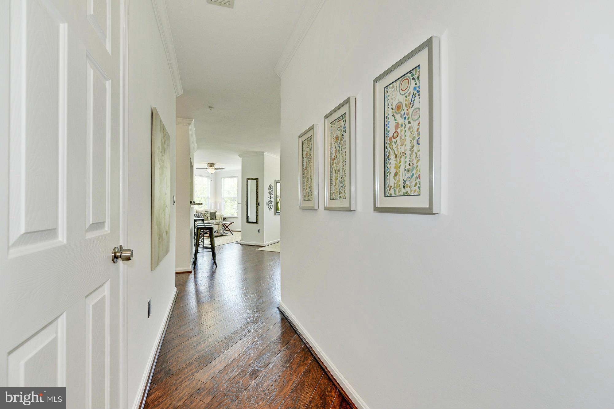 MAIN STREET - Residential