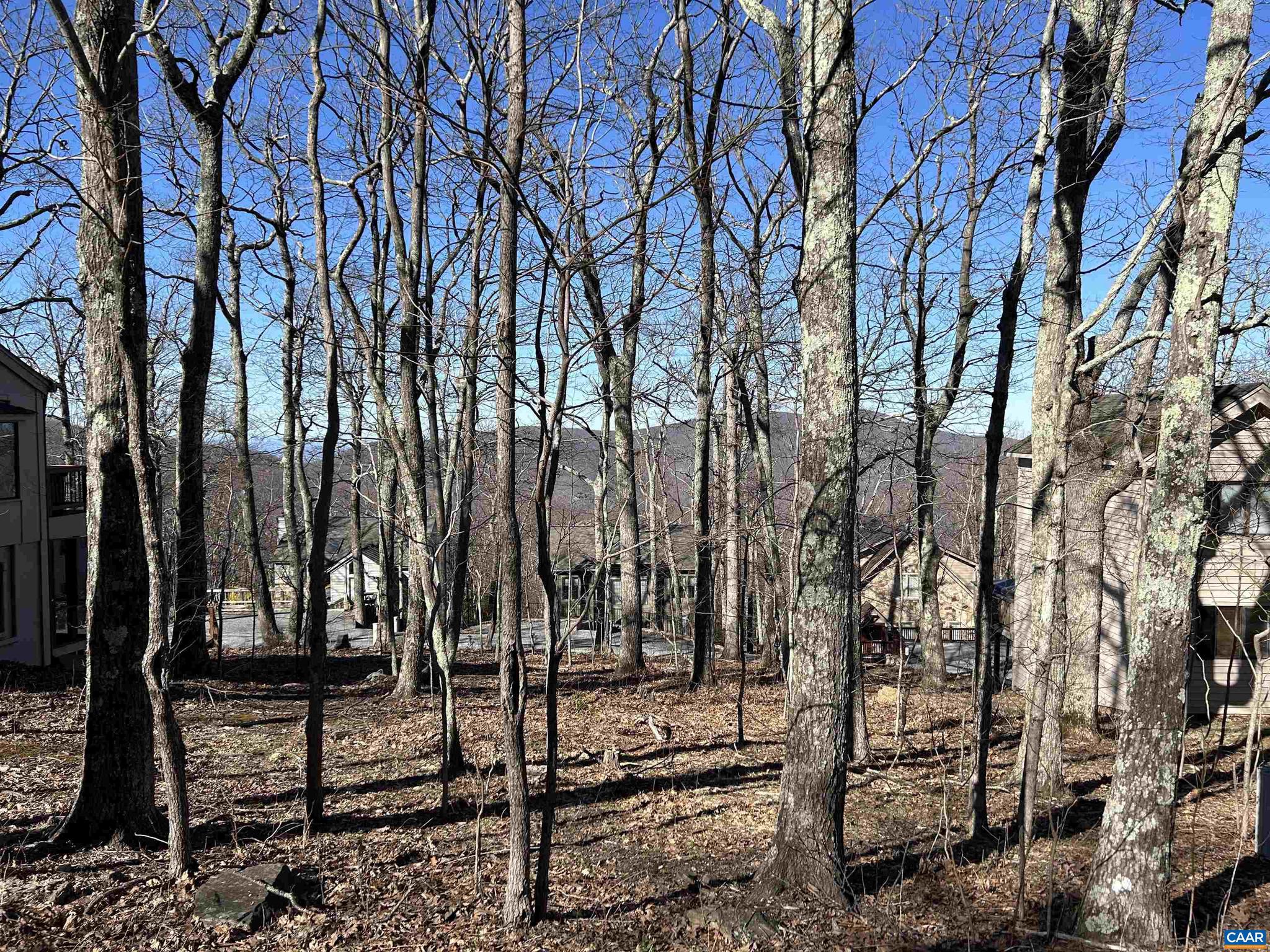 WINTERGREEN RESORT - Land