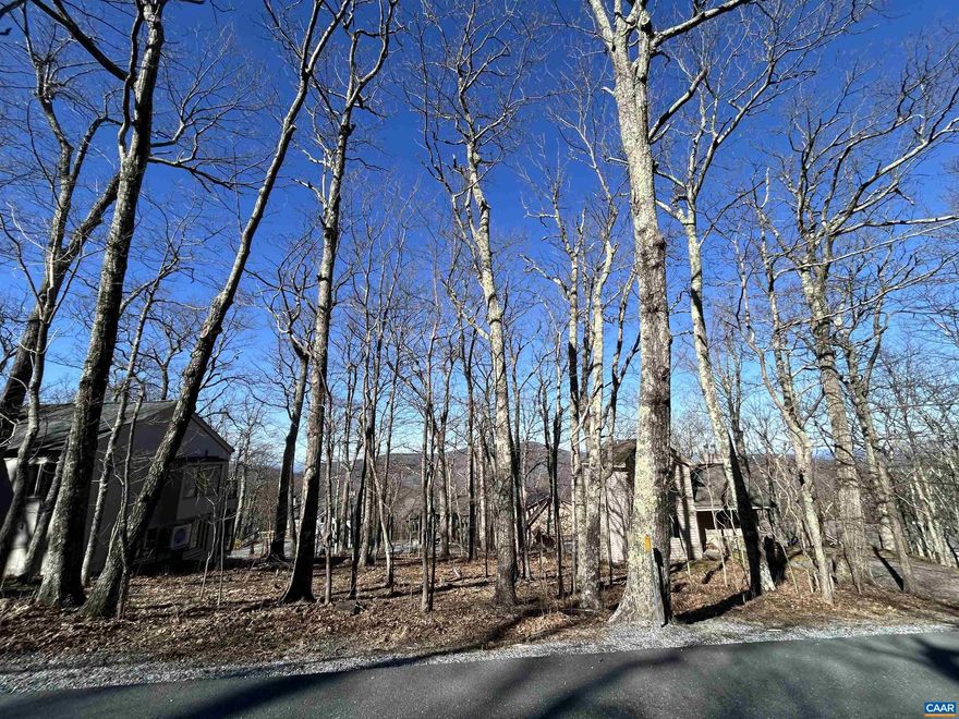 Excellent location for a vacation home or permanent mountain retreat. Easy access to build, wonderful seasonal views, easy walk to Tyro ski slope, and just steps to hiking trails. One of the last undeveloped lots in the Blackrock Village area, features great access to center village amenities.