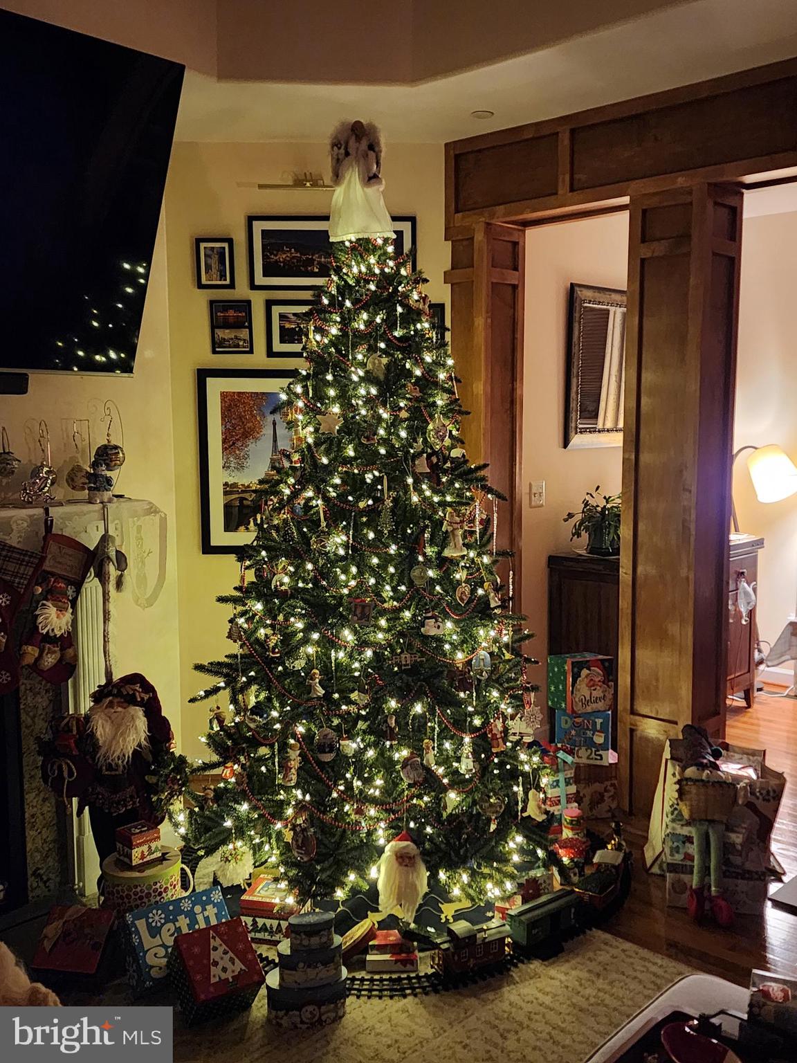 CHESTNUT GROVE - Residential