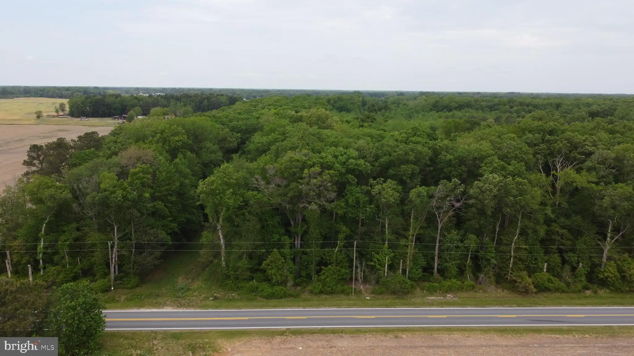 Additional image 11 of Lot 14 Cedar Grove Church Road, Felton, DE 19943