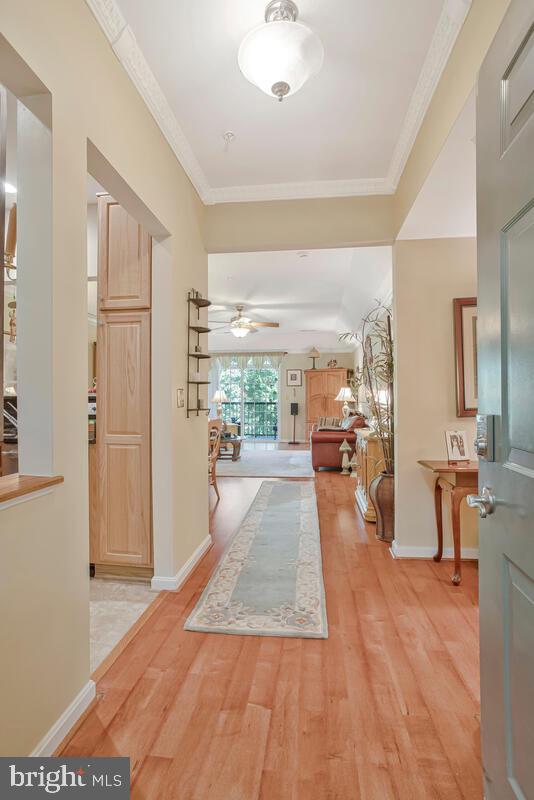 7315 MAPLECREST ROAD 405