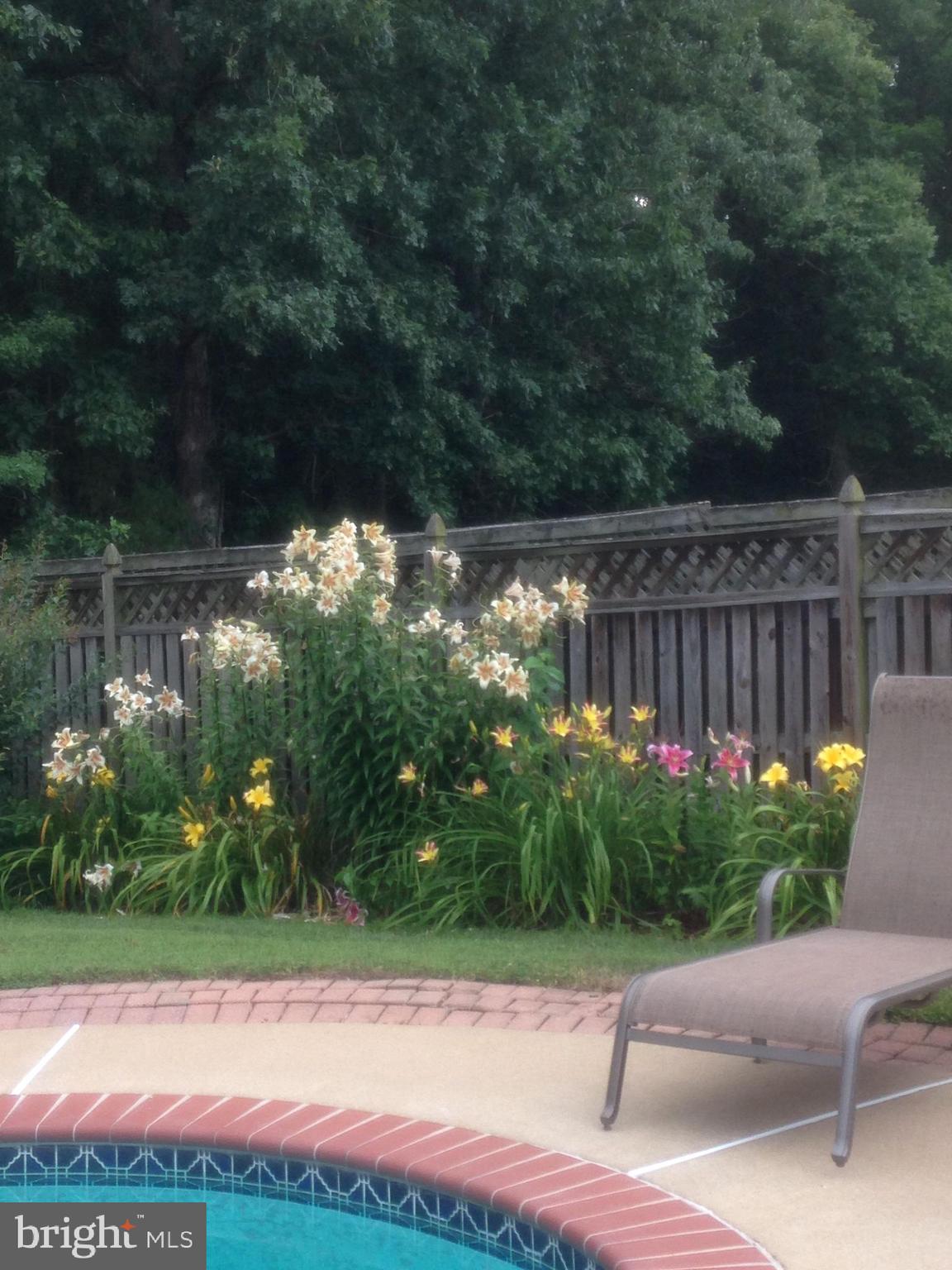 CHALET WOODS - Residential