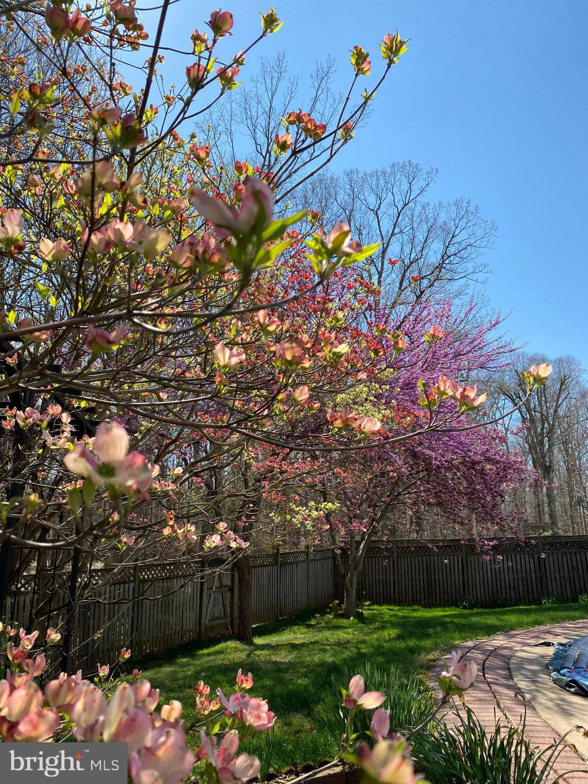 CHALET WOODS - Residential