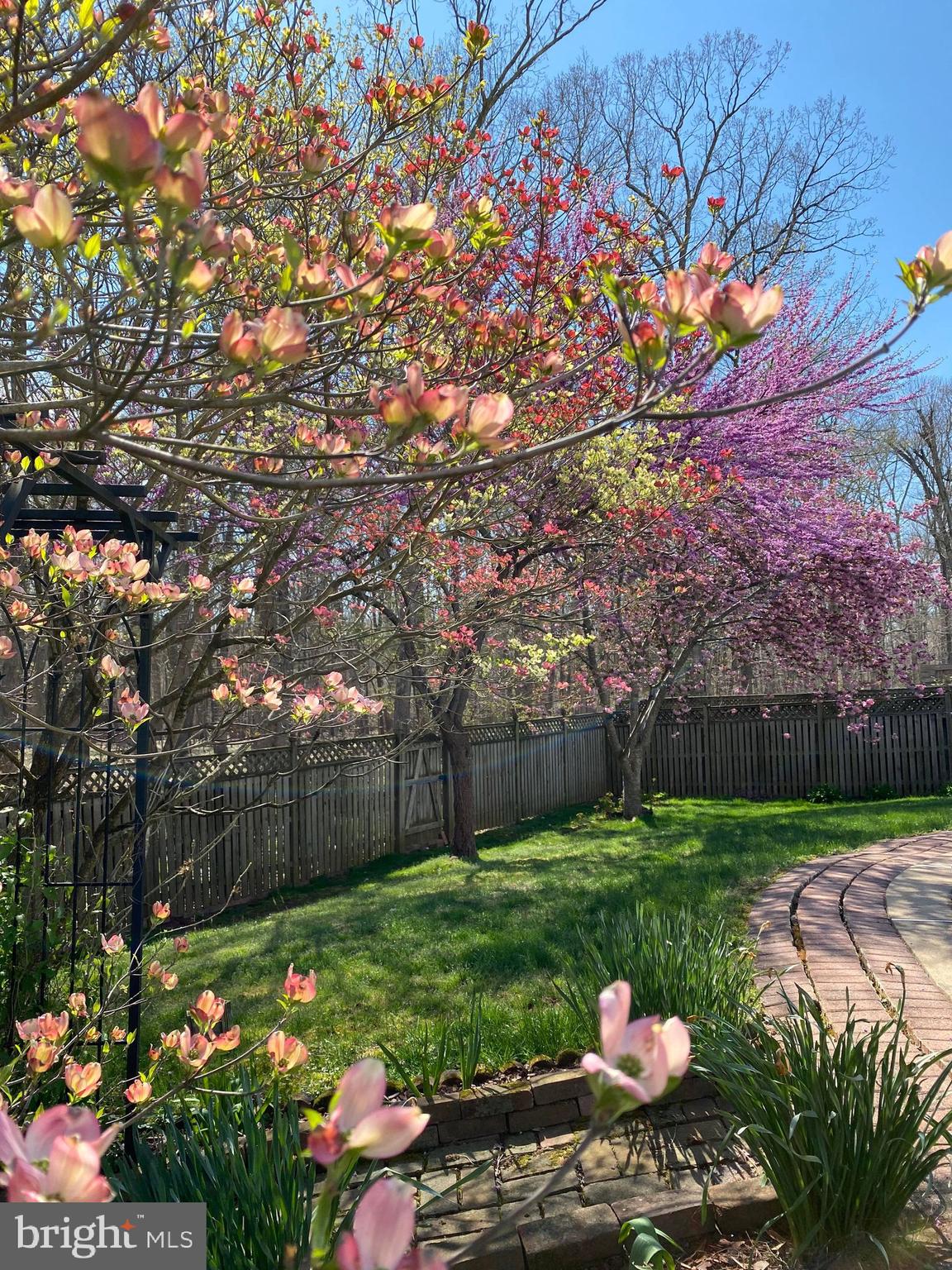 CHALET WOODS - Residential