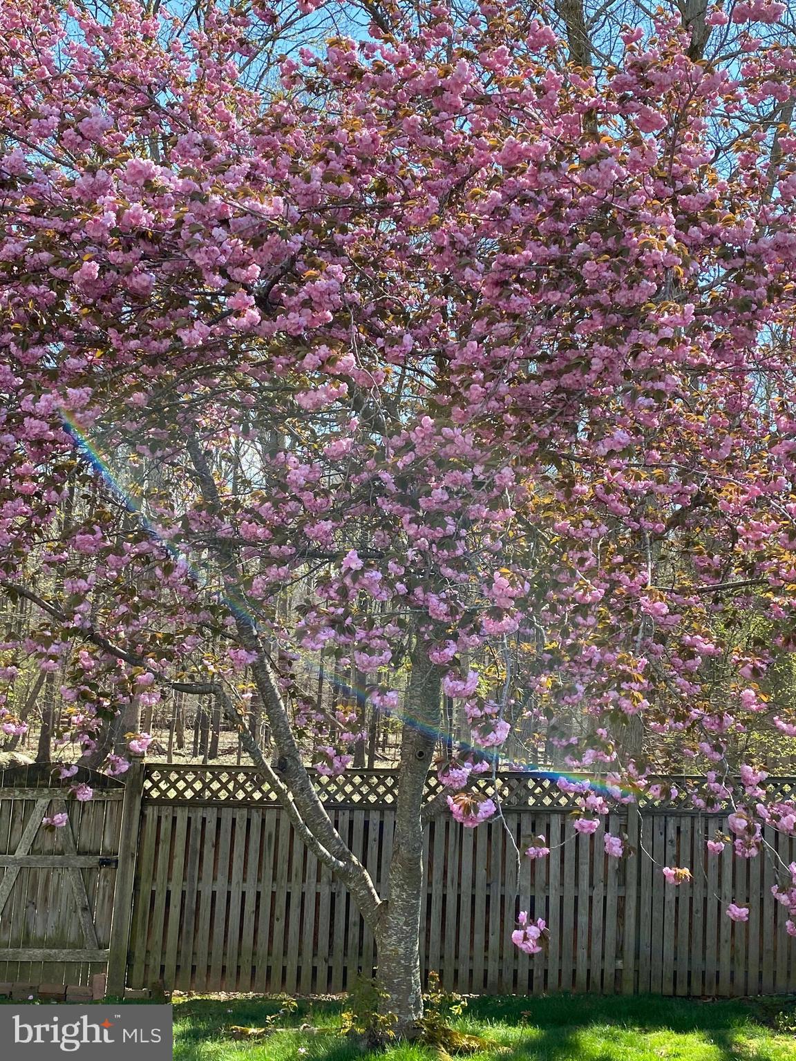 CHALET WOODS - Residential