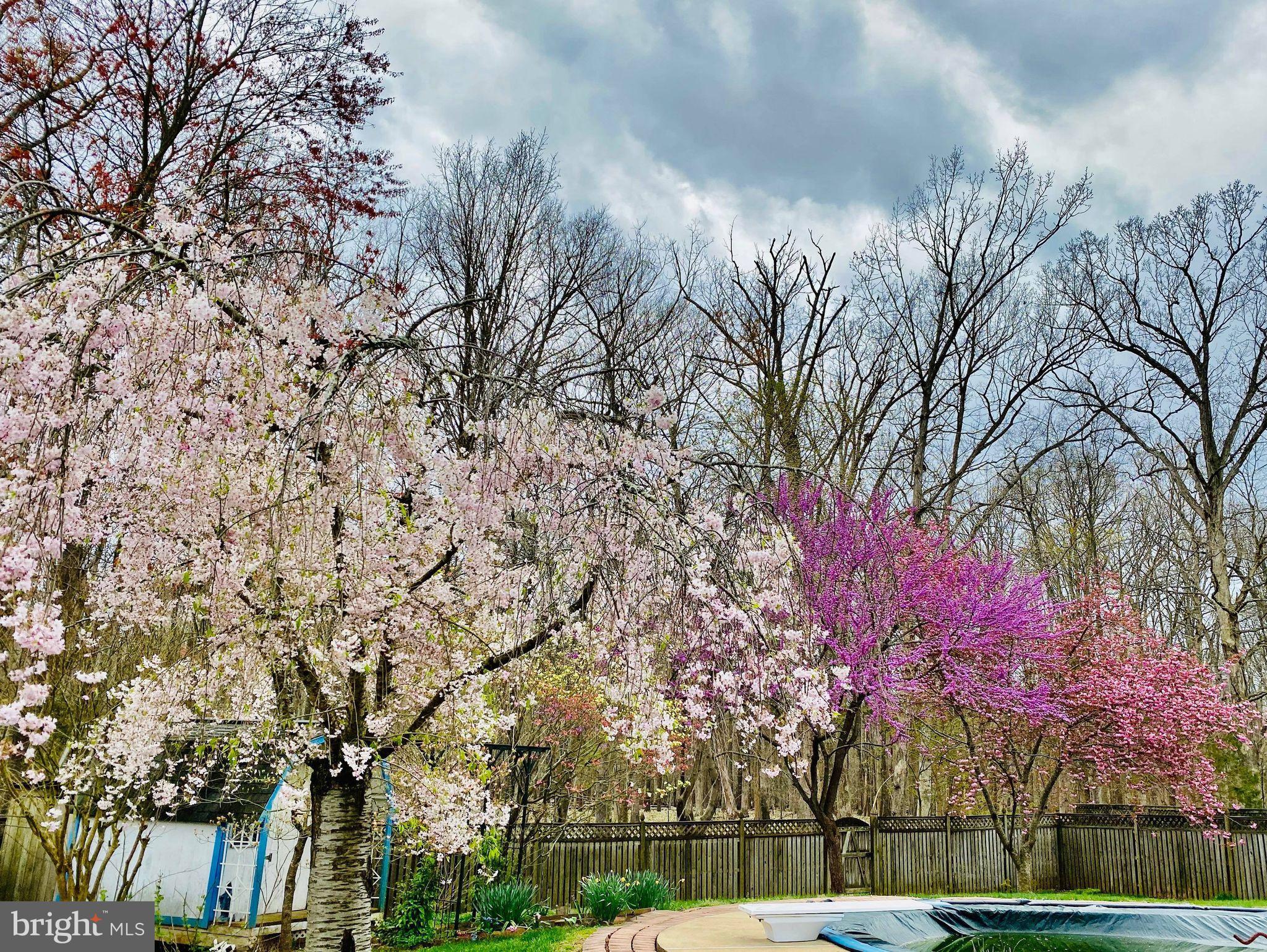 CHALET WOODS - Residential