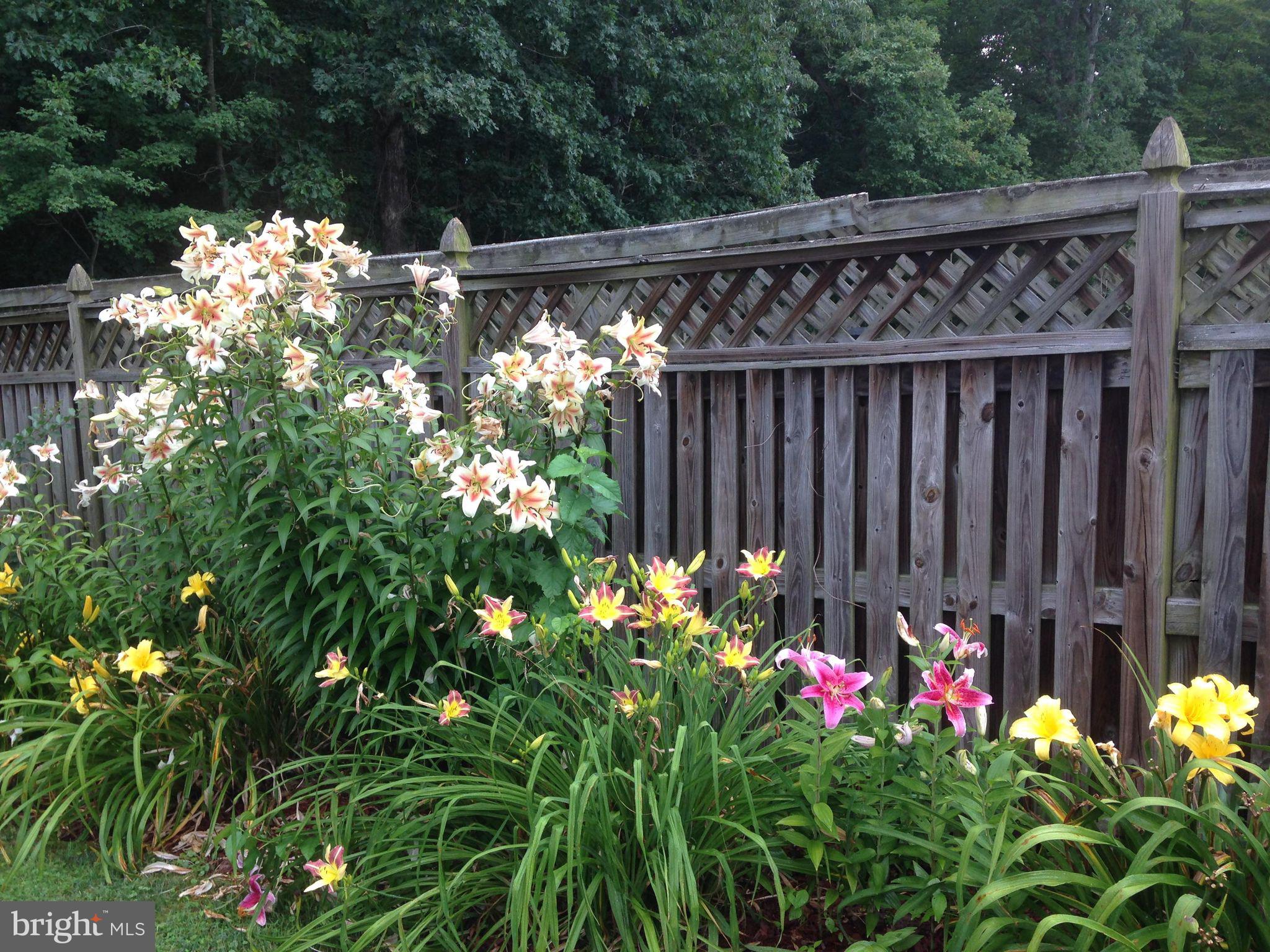 CHALET WOODS - Residential