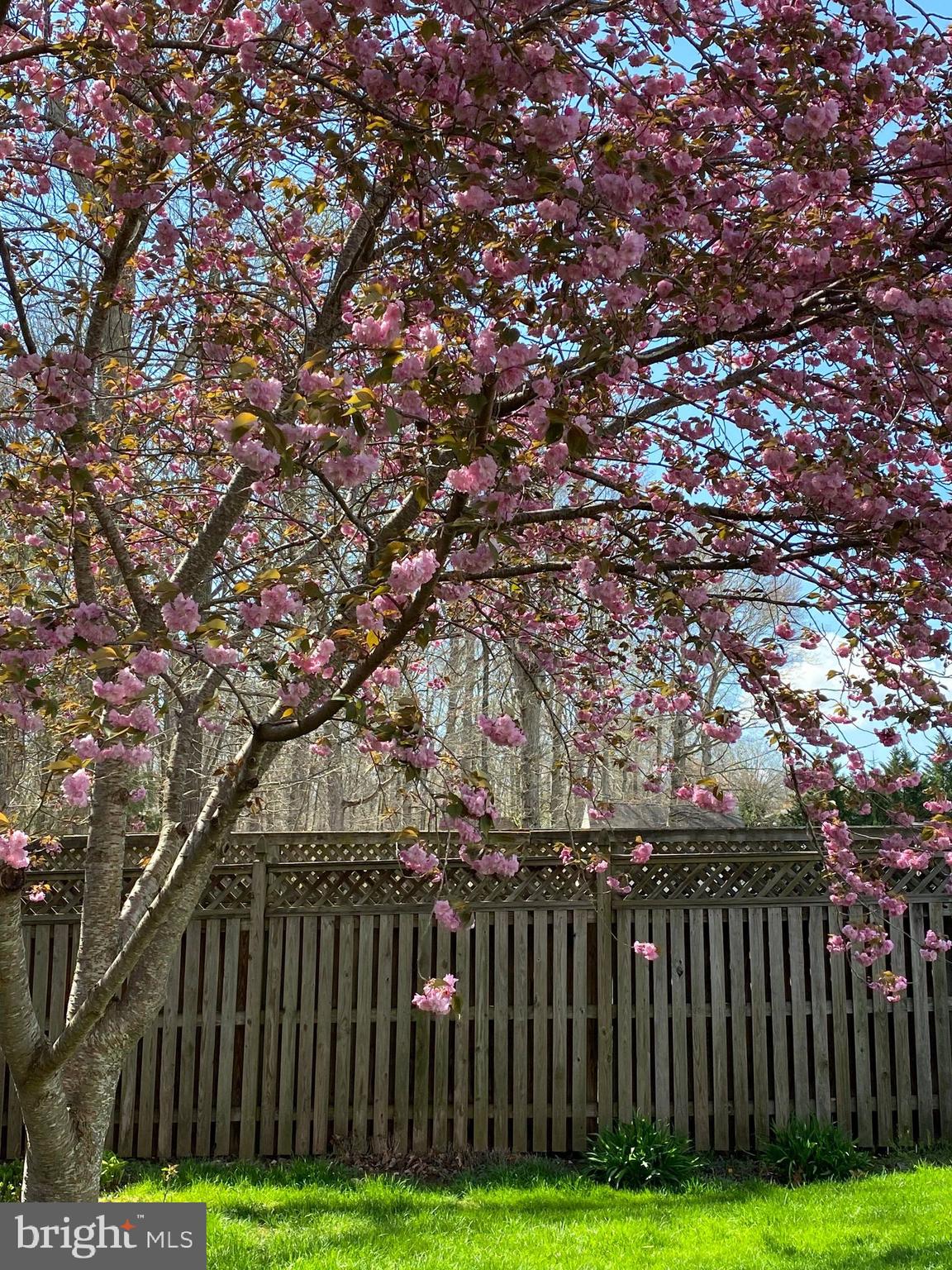 CHALET WOODS - Residential