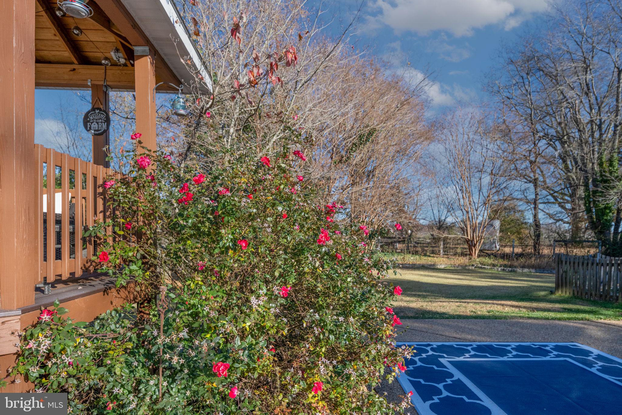 ESTATES AT WALNUT HILLS - Residential