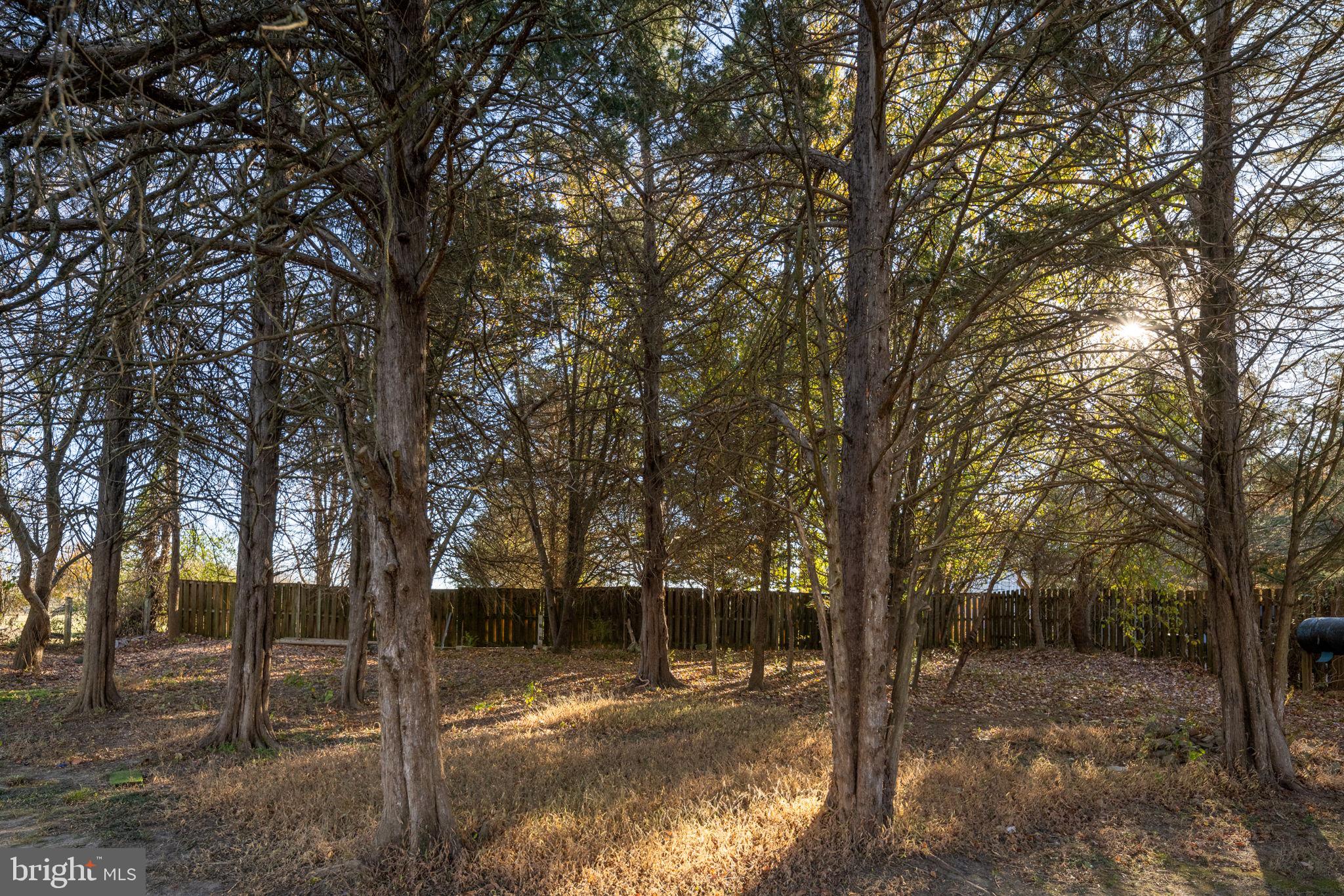 ESTATES AT WALNUT HILLS - Residential