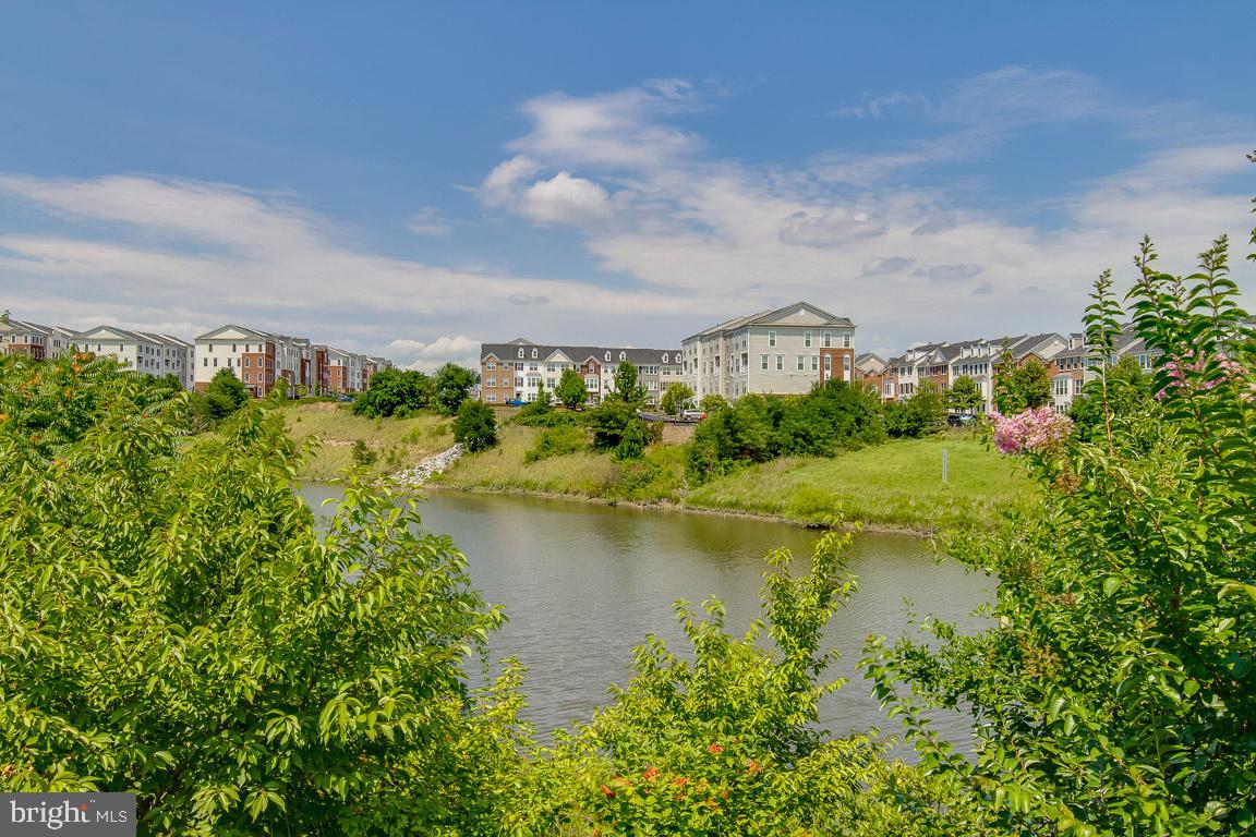 POTOMAC CLUB - Residential