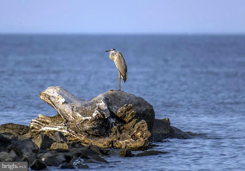 HAVRE DE GRACE HEIGHTS - Residential Lease