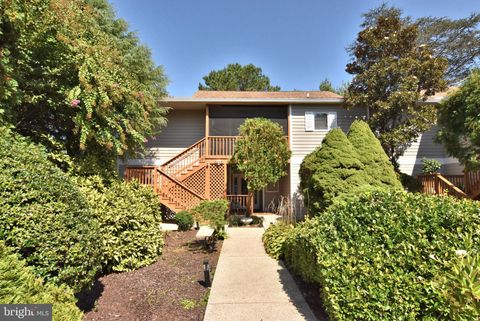 33788 WALNUT GROVE DRIVE 3 LEWES DE 19958