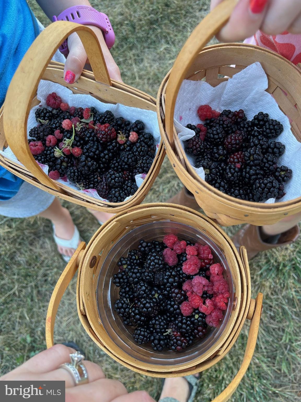 GAP VIEW VILLAGE - Residential