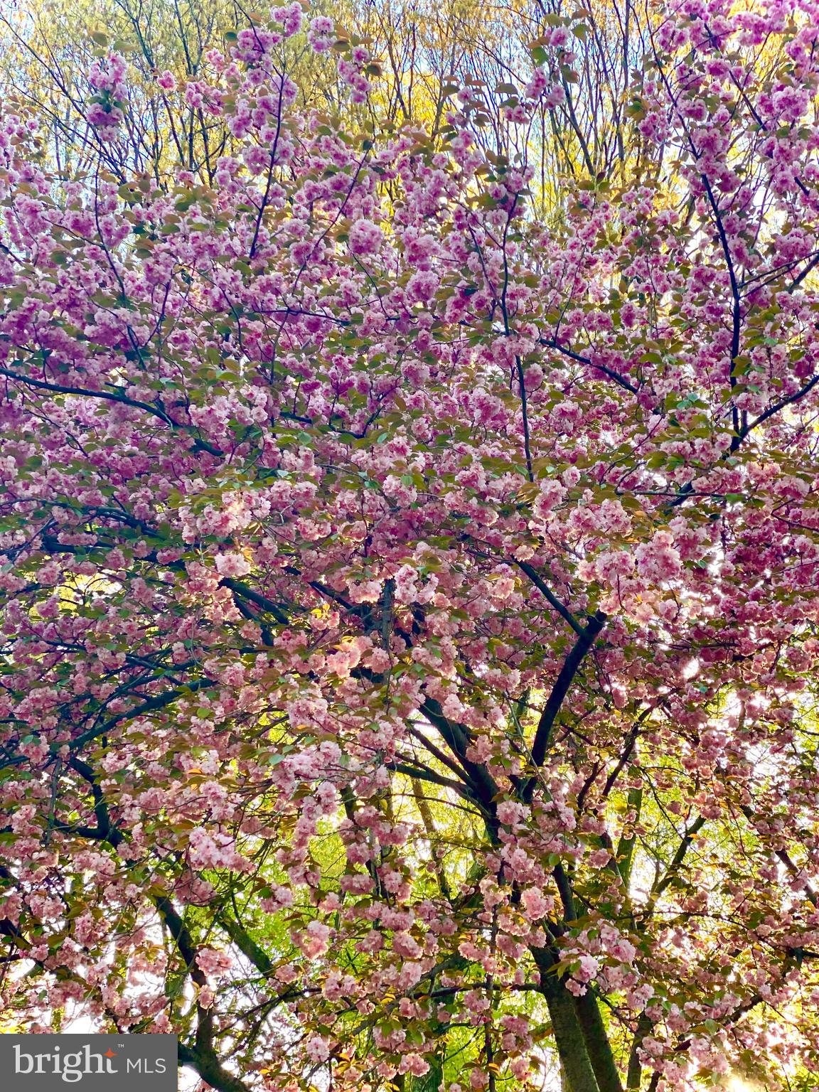 WATERBURY HEIGHTS - Residential