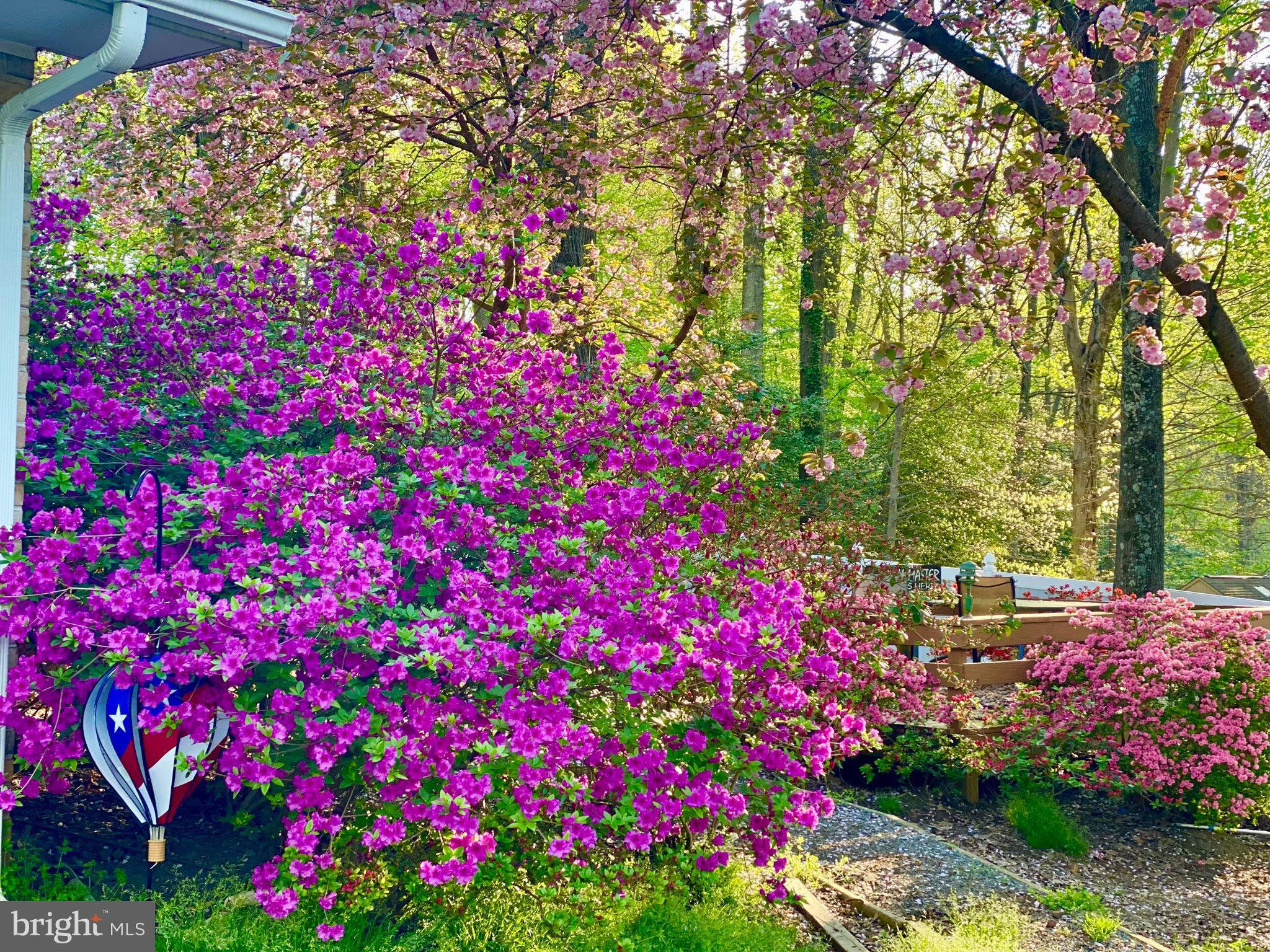 WATERBURY HEIGHTS - Residential