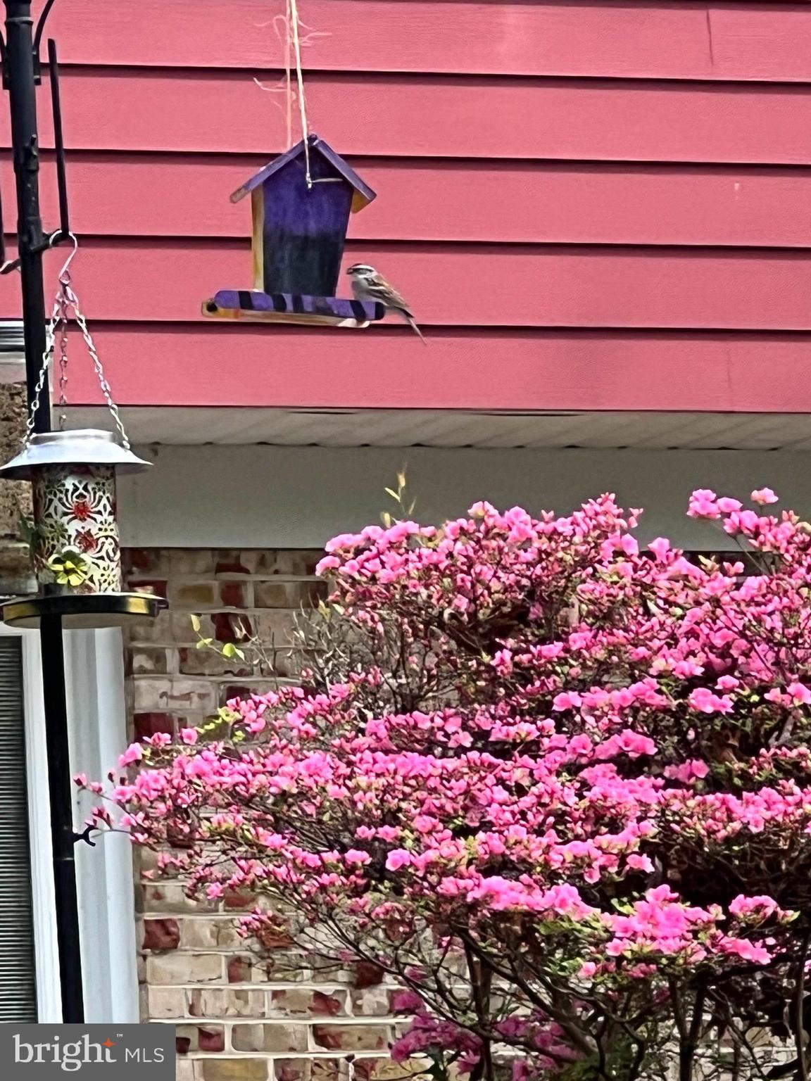 WATERBURY HEIGHTS - Residential