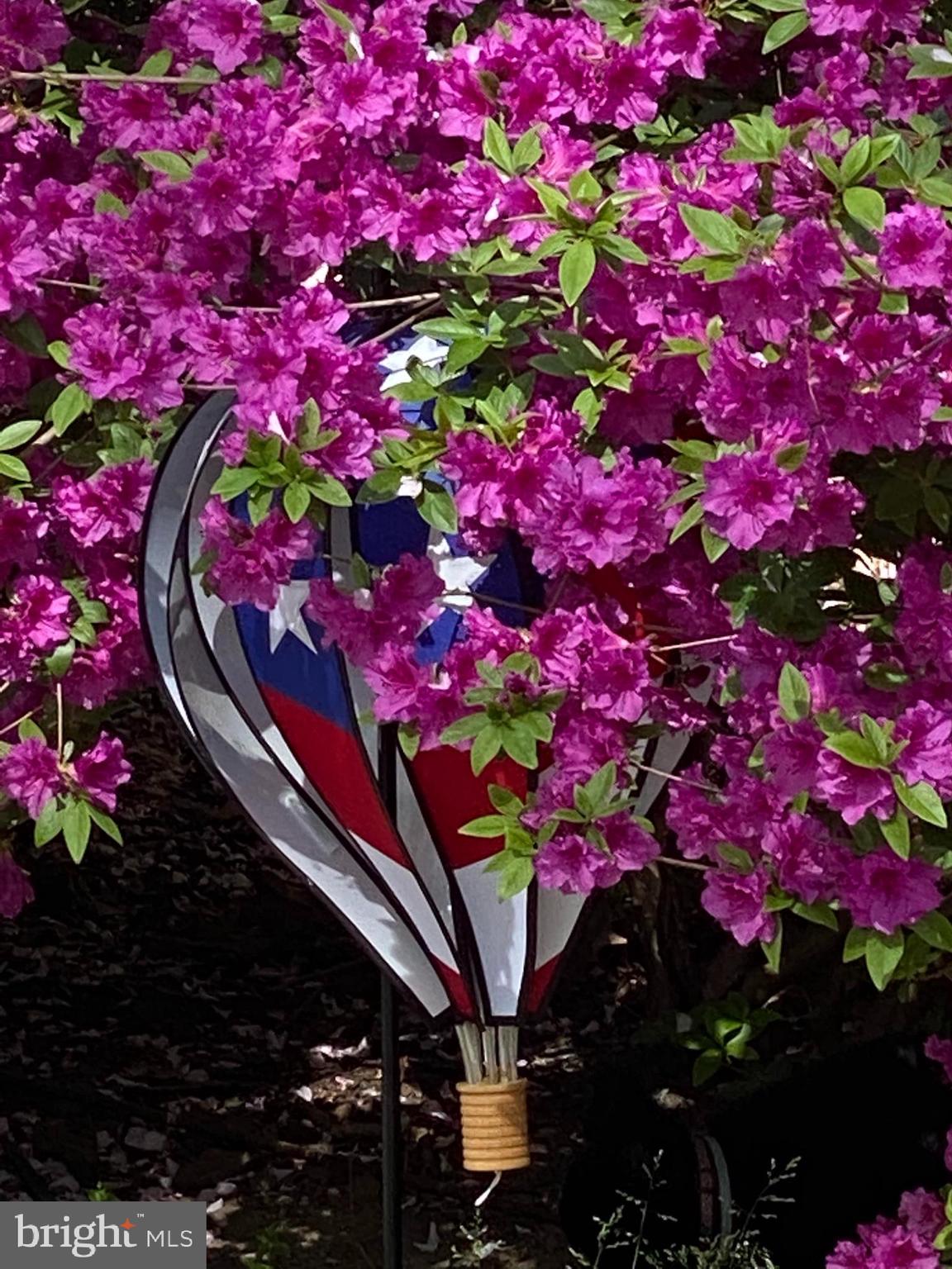 WATERBURY HEIGHTS - Residential