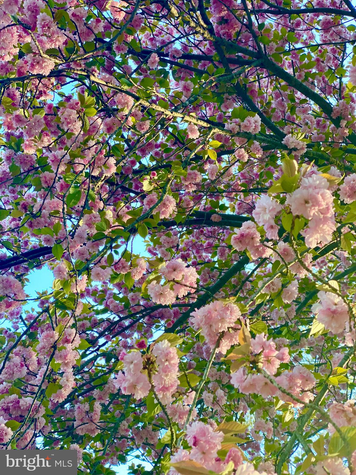 WATERBURY HEIGHTS - Residential