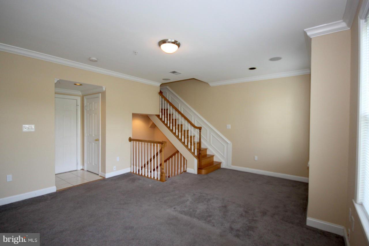 BROMPTONS - Residential Lease