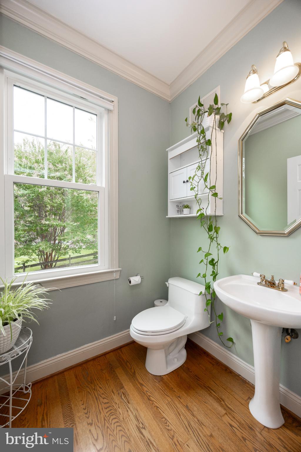 RADLEY RUN IV - Residential