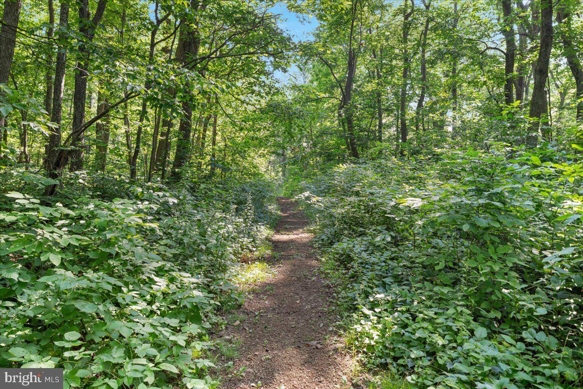 BLUE MOUNTAIN - Residential