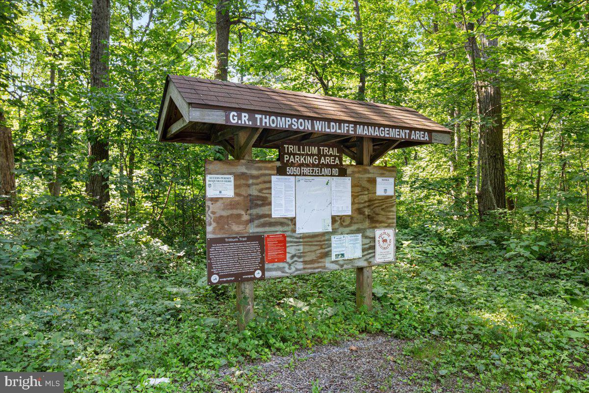 BLUE MOUNTAIN - Residential