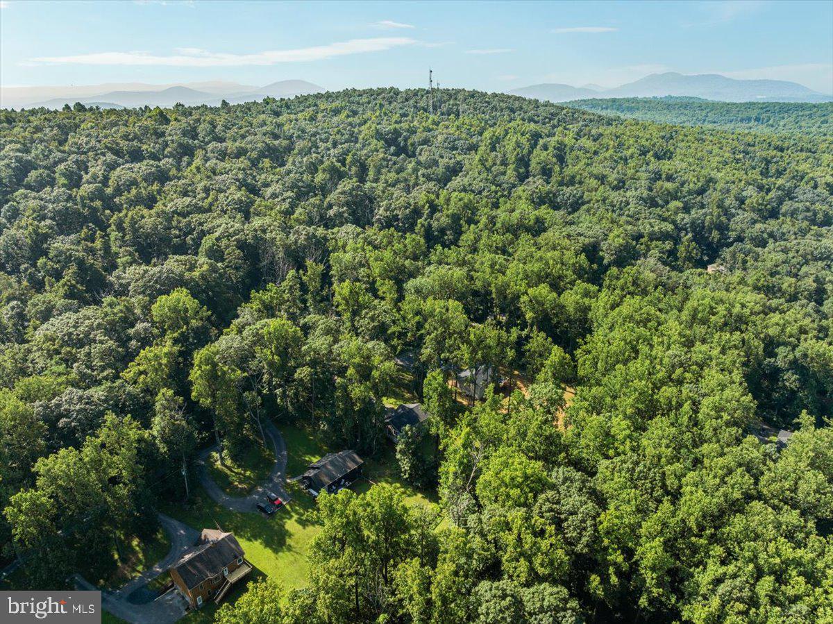 BLUE MOUNTAIN - Residential