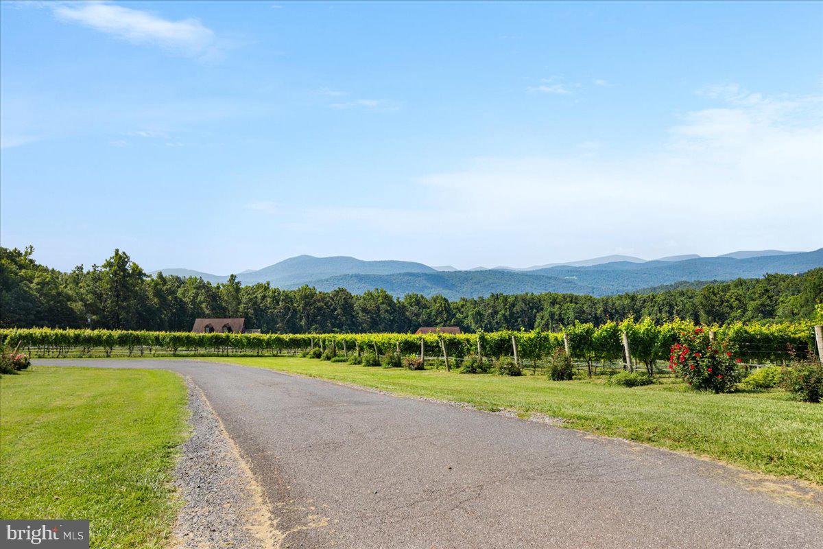 BLUE MOUNTAIN - Residential