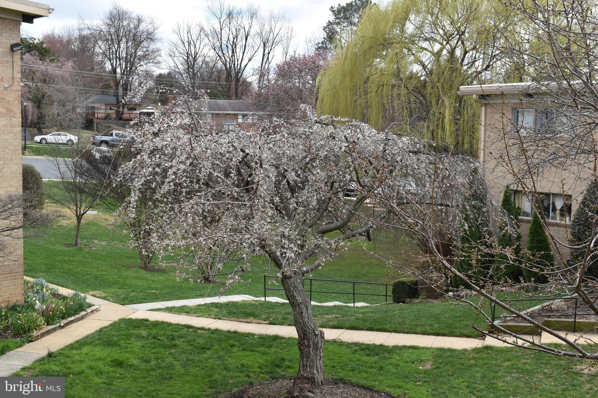 FAIRFAX HERITAGE - Residential