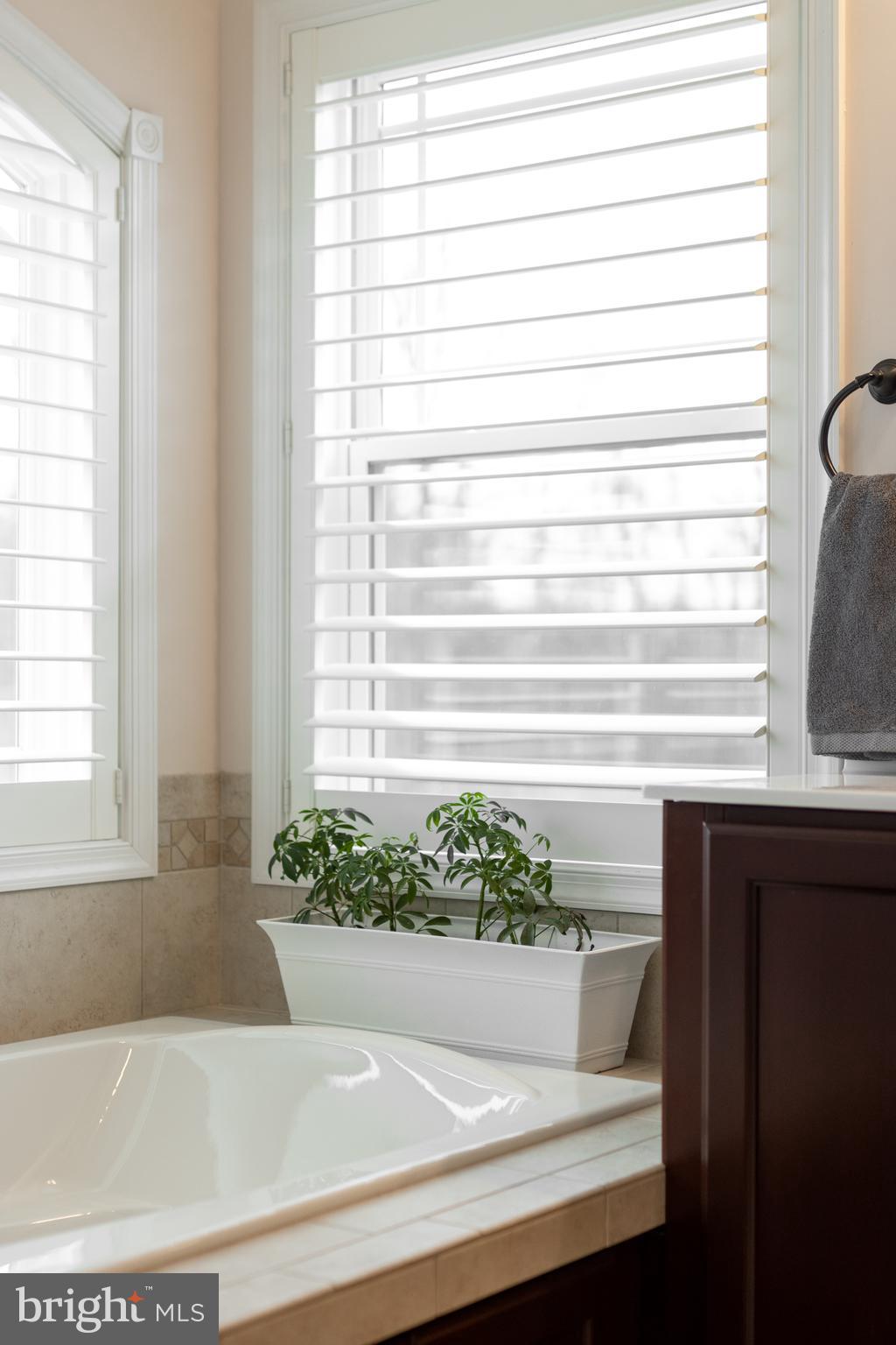 SAYBROOK - Residential