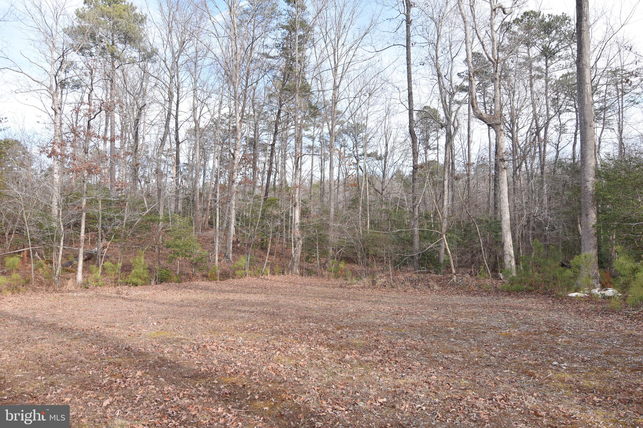 FORREST FARM - Residential