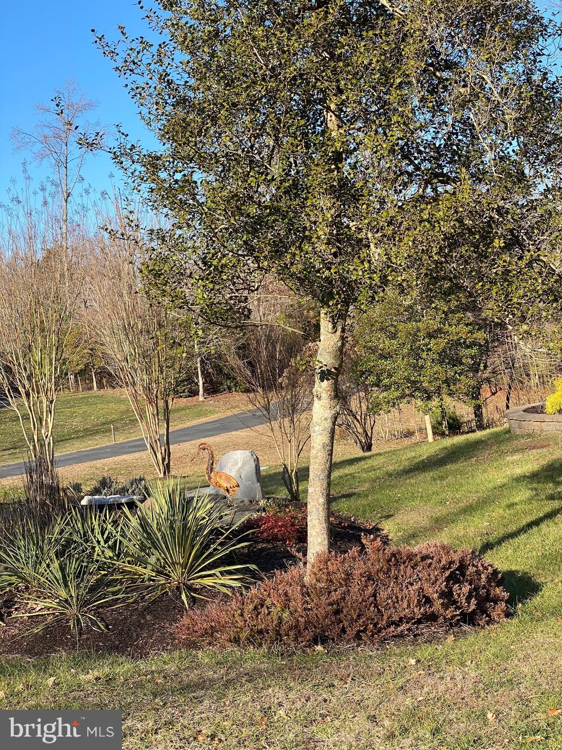 FORREST FARM - Residential