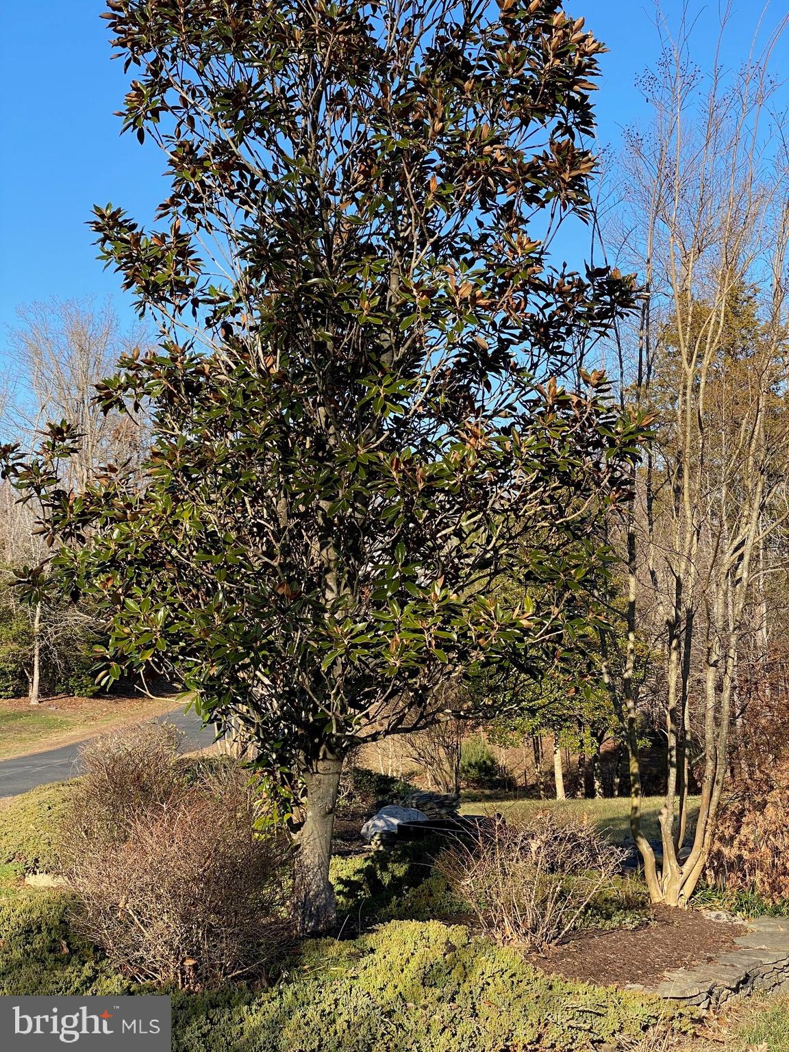 FORREST FARM - Residential