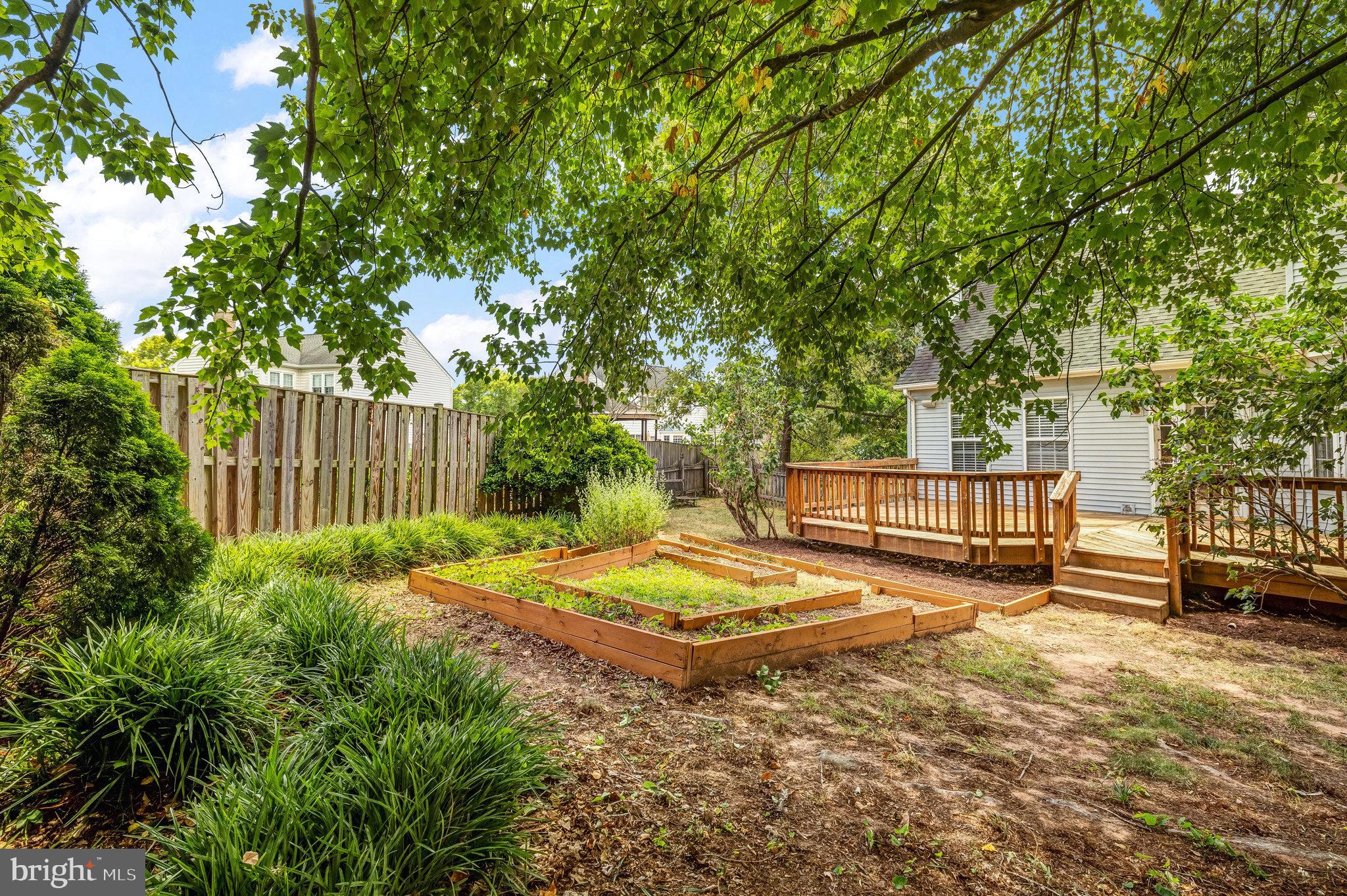 CINNAMON OAKS - Residential