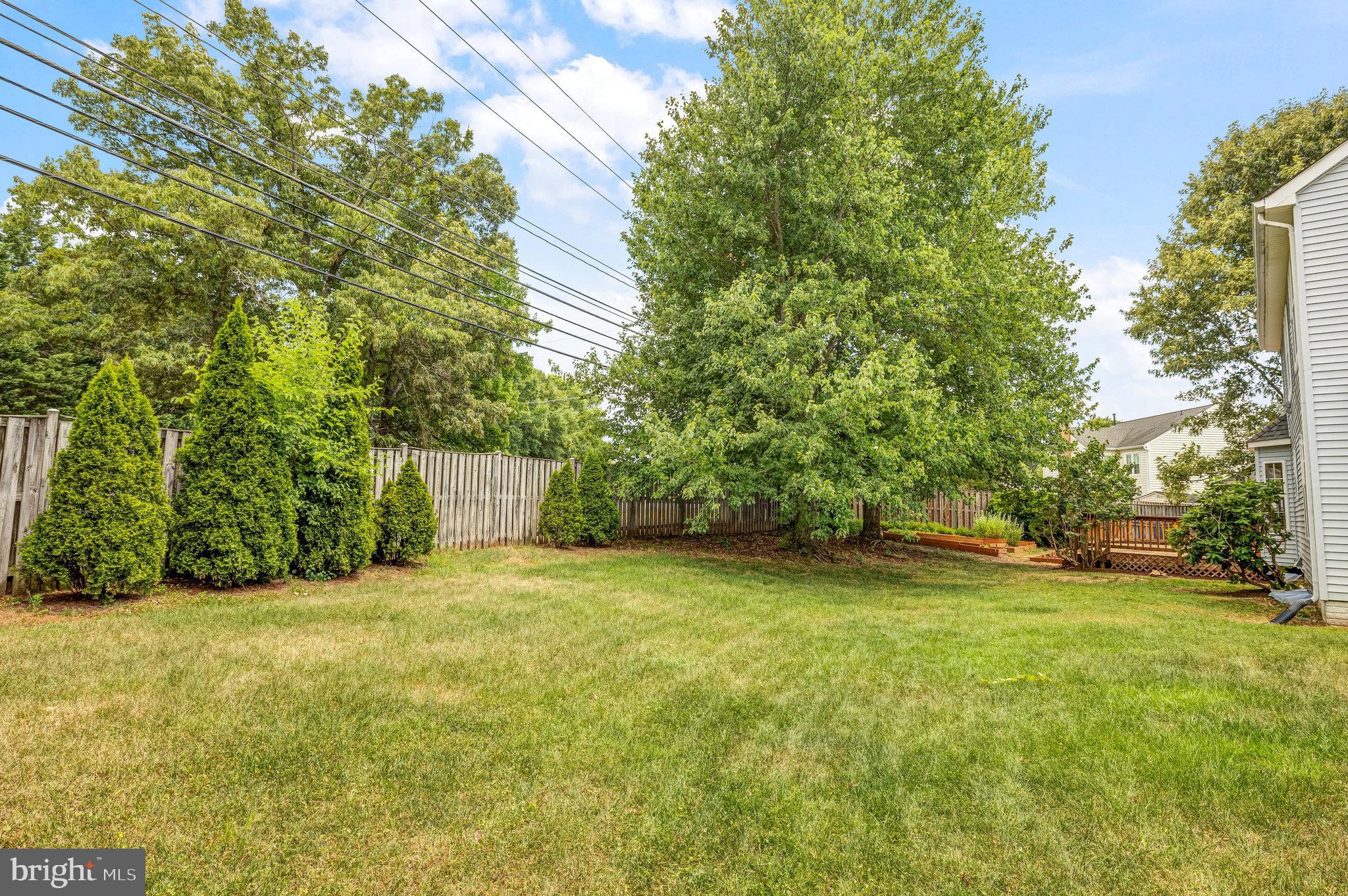 CINNAMON OAKS - Residential