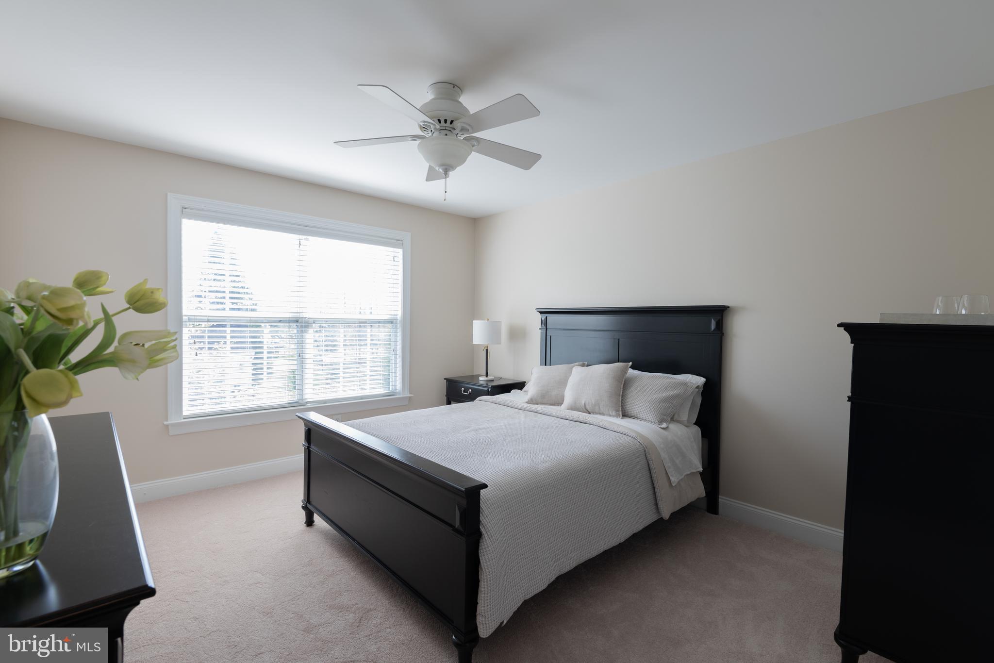 ARBORLEA - Residential