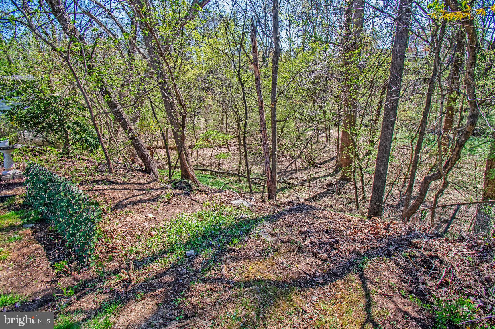 GARRETT FOREST - Residential