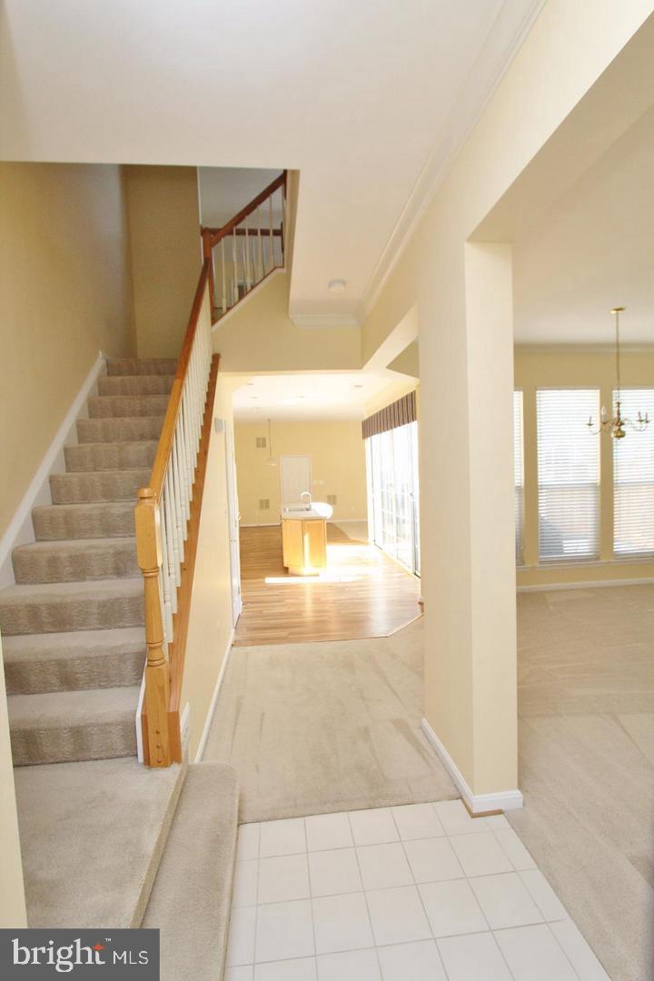 BELMONT TOWN CENTER - Residential Lease