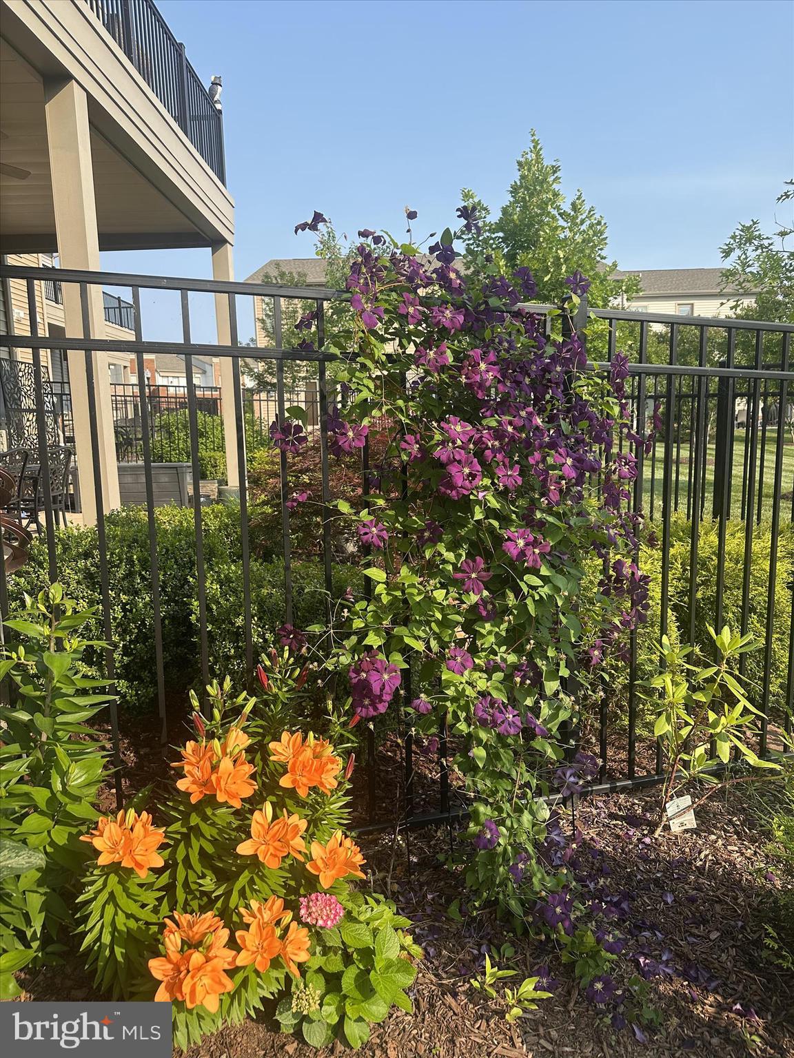 BIRCHWOOD AT BRAMBLETON - Residential