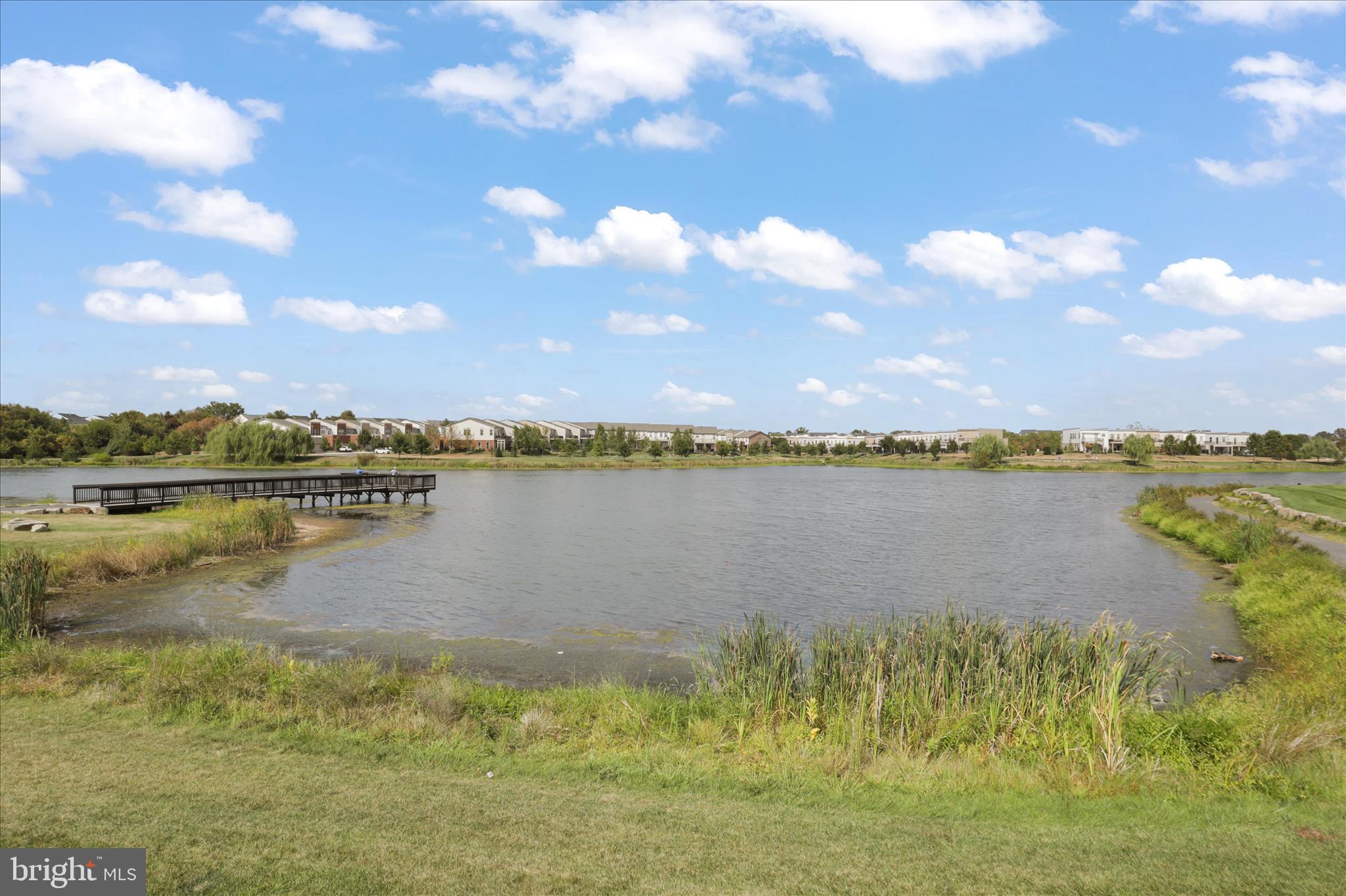 BIRCHWOOD AT BRAMBLETON - Residential