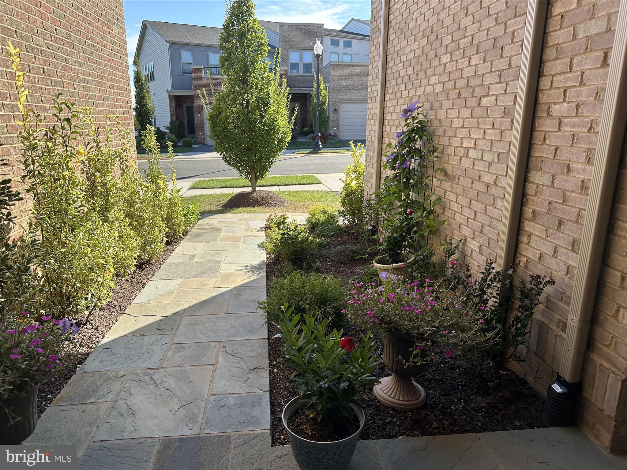 BIRCHWOOD AT BRAMBLETON - Residential