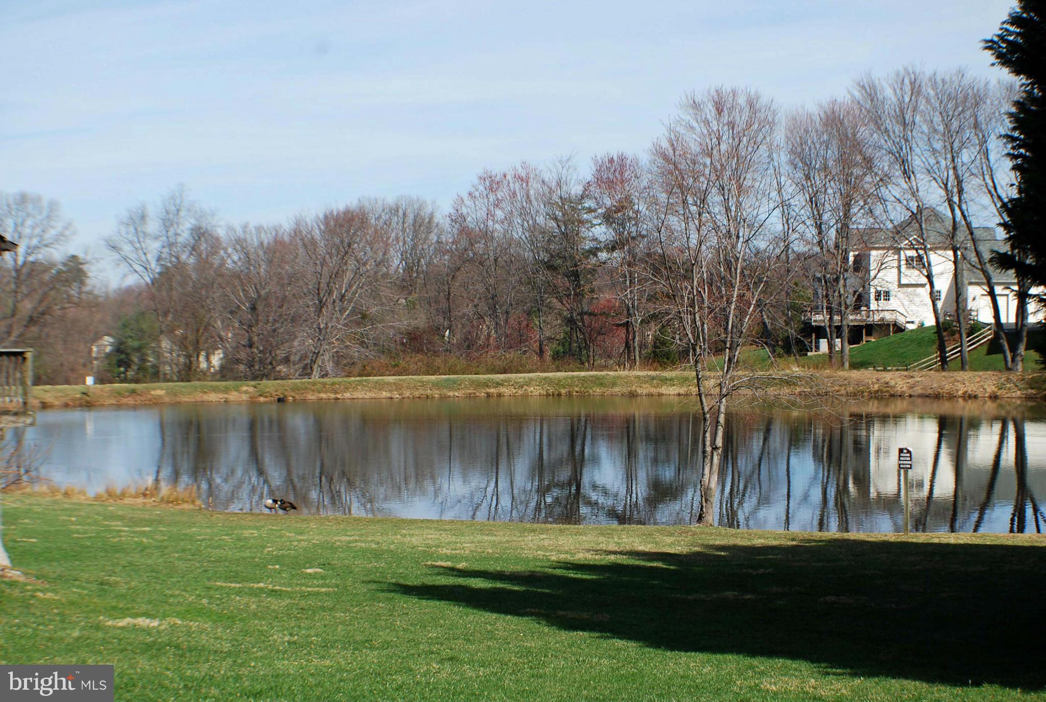 FOX MILL ESTATES - Residential