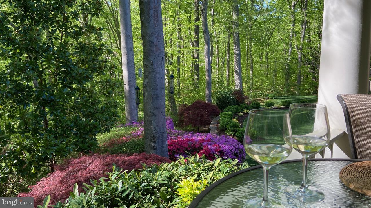 200 BLACK SKIMMER COURT