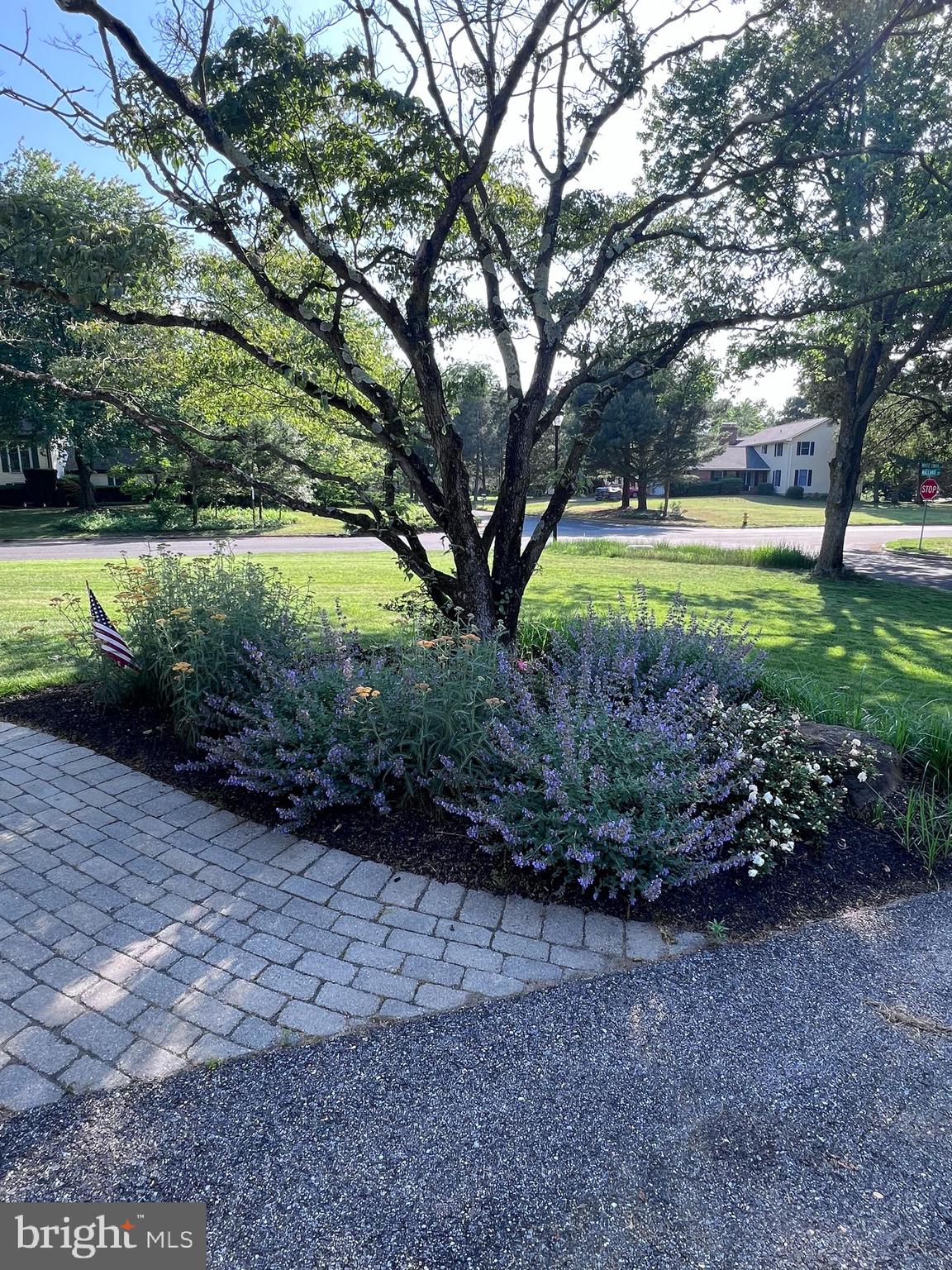 ULMSTEAD ESTATES - Residential