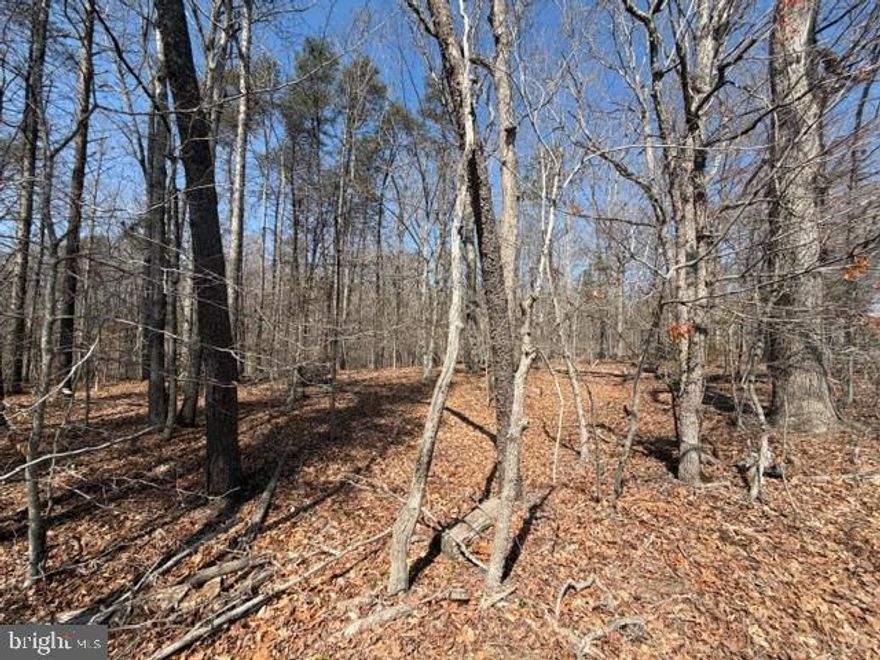 Gorgeous Wooded 7+ Acre Lot in Lignum. Looking for a little extra space ... a little more to spread out ... get closer to nature?  Look no further. Property boasts mature trees, has been surveyed/marked for easy navigation and a recent 4 bedroom conventional perc.  Easy commuting local ... 15 minutes to Culpeper/RT 29 and 30 minutes to Fredericksburg.  This lot feels miles away from ordinary.